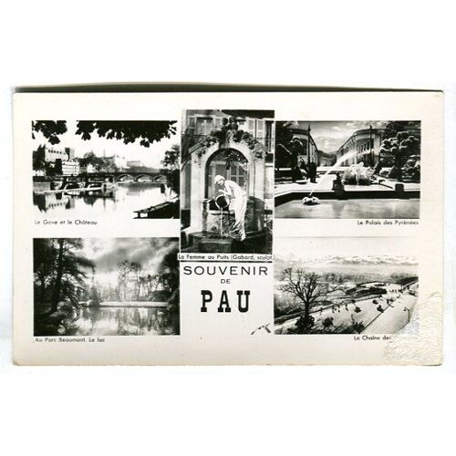 Carte Postale - Souvenir De Pau - Pyrénées Atlantiques - 64