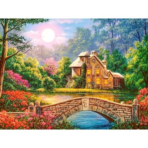 Kits De Peinture Par Numéros De Pour Adultes, Bricolage, Peint À La Main Sur Toile Avec Image À L'huile Encadrée, Dessin, Coloration Par Numéro,Avec Cadre De Bricolage 40x50cm Lib37990
