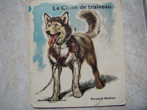 Le Chien De Traîneau