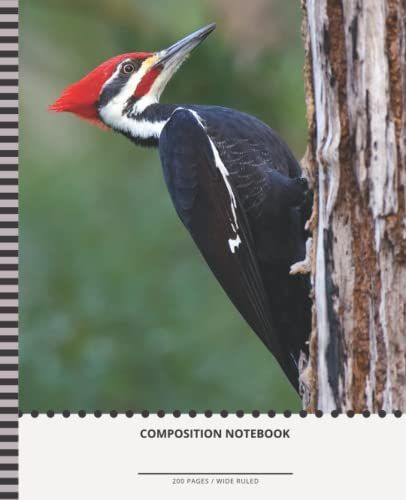 Woodpecker Composition Notebook: 7.5 X 9.25 Inch / 200 Pages (100 Sheets) / Wide Ruled Paper For Writing - Homework - Notes - Doodles - Homeschool / ... Animal - Bird In Tree Art Photo Cover