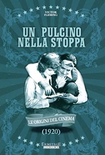 Un Pulcino Nella Stoppa