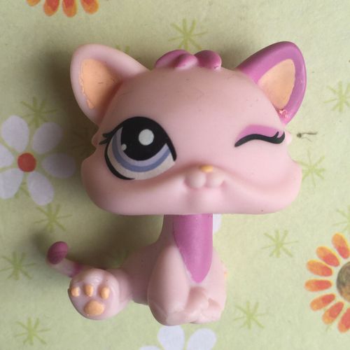 Petshop Chat Rose