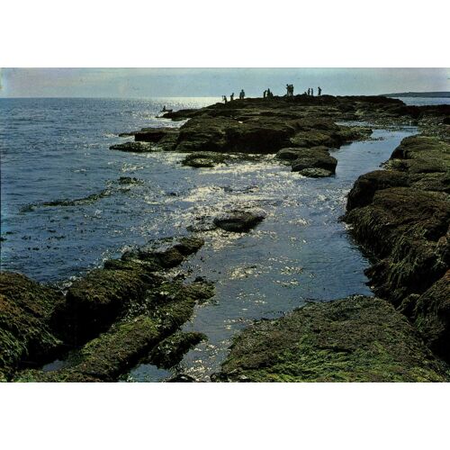 Carte Postale De Préfailles (Loire-Atlantique) Rochers De La Côte De Jade