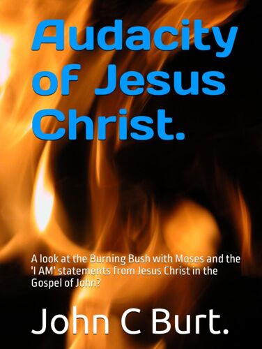 Audacity Of Jesus Christ.: A Look At The Burning Bush With Moses And The 'i Am' Statements From Jesus Christ In The Gospel Of John?