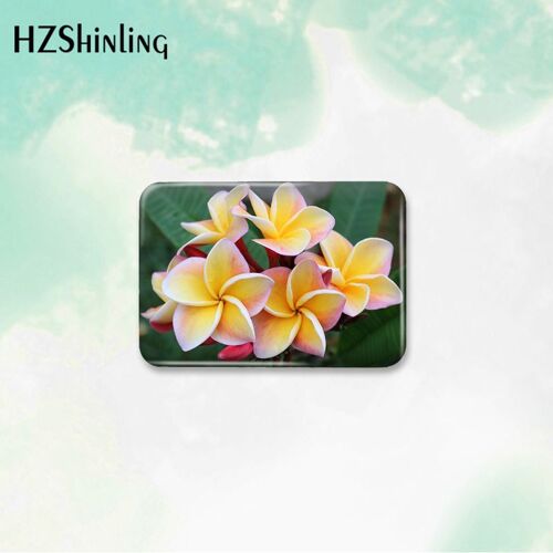 Broche D'insigne De Bouton Imprimé Plumeria Hawaïenne, Pour Vêtements, Sac À Dos, Décoration, Broche, Bijoux, Nouvelle Collection 2023