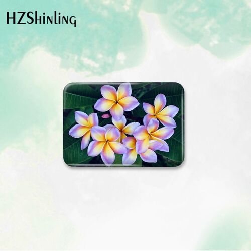 Broche D'insigne De Bouton Imprimé Plumeria Hawaïenne, Pour Vêtements, Sac À Dos, Décoration, Broche, Bijoux, Nouvelle Collection 2023