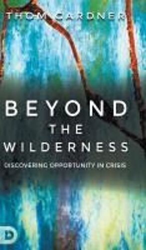 Beyond The Wilderness