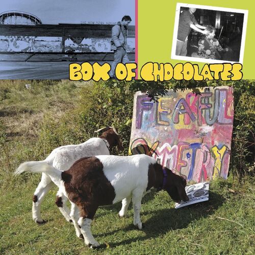 Boîte De Chocolats - Fearful Symmetry Vinyl