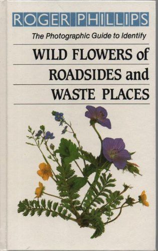 Wild Flowers Of Roadsides And Waste Places