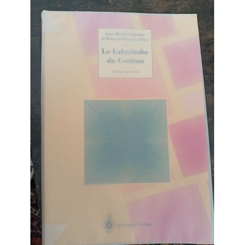 Le Labyrinthe Du Continu / Colloque De Cerisy - J.M. Salnskis, Hourya Sinaceur