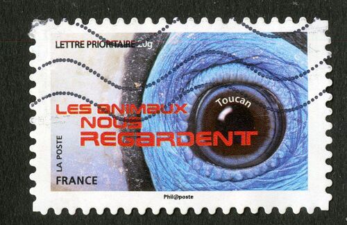 Timbre Oblitéré Les Animaux Nous Regardent,Toucan,La Poste,France,Lettre Prioritaire 20g