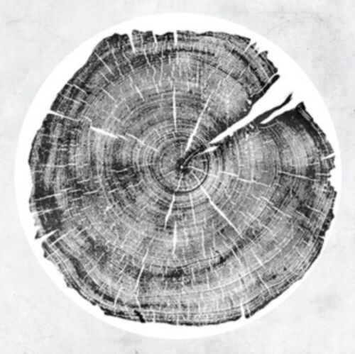 M Darkmotif Dancehall