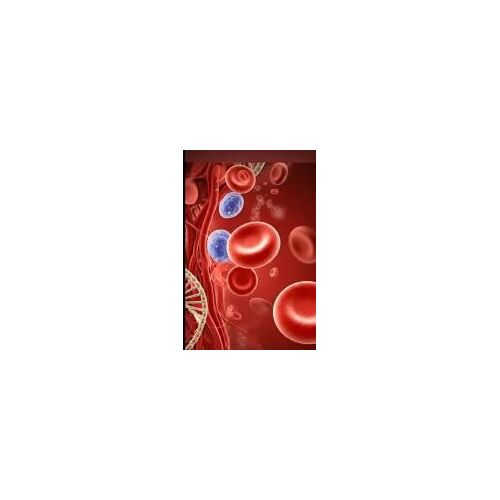 Beneath The Vein: The Silent Struggles Of Blood Disorders