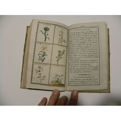 Livre Du Second Age Ou Instructions Amusantes Sur L'histoires Des Animaux Et Végétaux