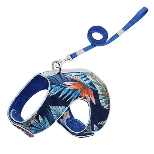 Harnais Respirant En Nylon Pour Chat Et Chien, 1 Pièce, Gilet, Laisse Pour Animal De Compagnie, Sangle De Poitrine, Réglable, Laisse De Marche, 2021