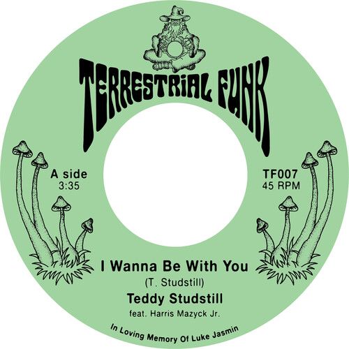 I Wanna Be With You / There Comes A Time [Vinyl]