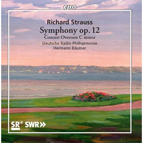 Deutsche Radio Philharmonie Baumer - Symphony 12 [Compact Discs]