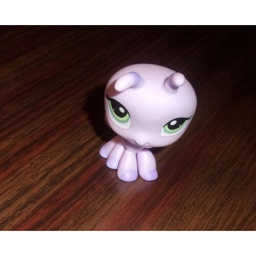 Petshop Fourmi N°1308