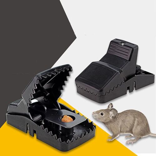 Piège à Souris Souricière PIÈGE NUISIBLE MAISON