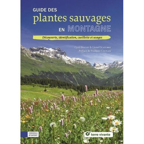 Guide Des Plantes Sauvages En Montagne - Découverte, Identification, Cueillette Et Usages