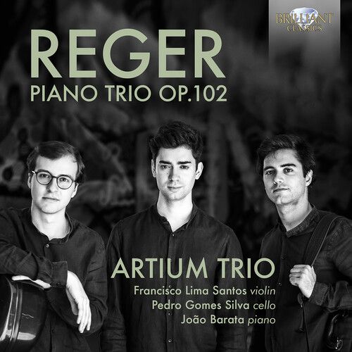 Piano Trio 102 [Cd]