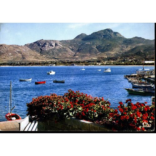 Carte Postale De Calvi  (Corse)  Vue Pittoresque Sur Son Site