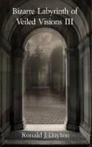Bizarre Labyrinth Of Veiled Visions Iii