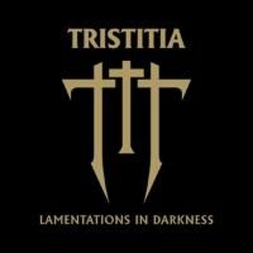 Lamentations In Darkness Import