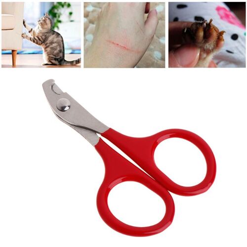 Coupe-Ongles En Acier Inoxydable Pour Animaux De Compagnie, Ciseaux De Soins Des Ongles, Coupe-Ongles Pour Chiens Et Chiots, Accessoire De Toilettage