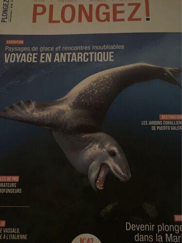 Plongez 42 Novembre-Décembre 2022. Voyage En Antarctique. Devenir Plongeur Dans La Marine. 