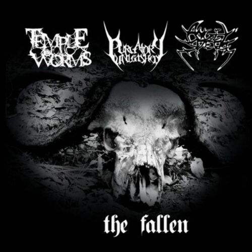 Temple Of Worms,  Purgatory Unleasged, Angel's Sperm : The Fallen (Split Cd)