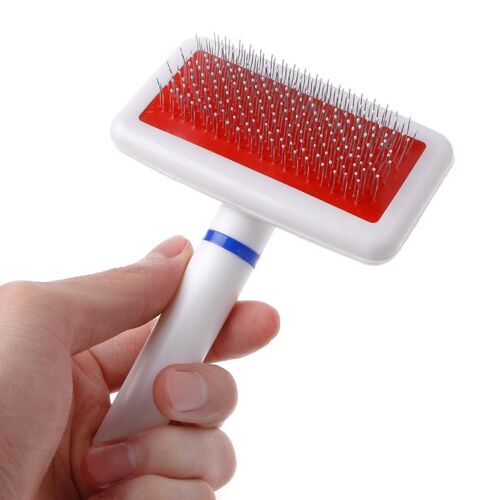 Brosse De Toilettage Pour Chiens Etbrosse De Toilettage Pour Chiens Et
