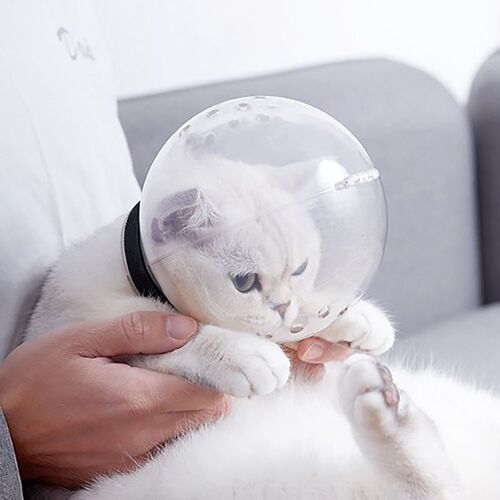 Masque De Toilette Anti-Léchage, Muselière Anti Morsure Pour Chat, Respirant, Pour Mordre