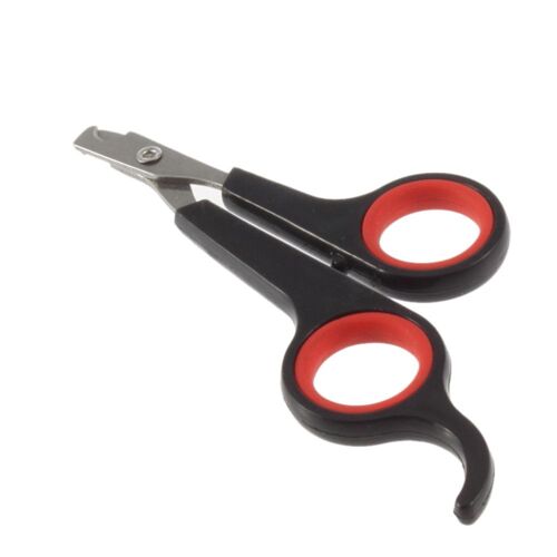 Coupe-Ongles Professionnel Pour Chien Et Chiot, 1 Pièce, Ciseaux À Griffes À Orteils, Produits De Toilettage Pour Animaux De Compagnie, Petit Gabarit, Chat, Chiot