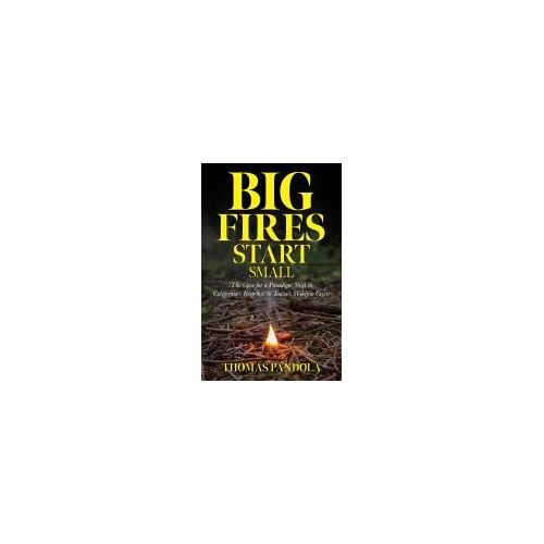 Big Fires Start Small