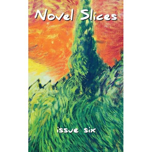 Novel Slices Issue 6