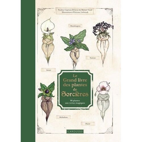 Le Grand Livre Des Plantes De Sorcières - 80 Plantes Aux Vertus Magiques