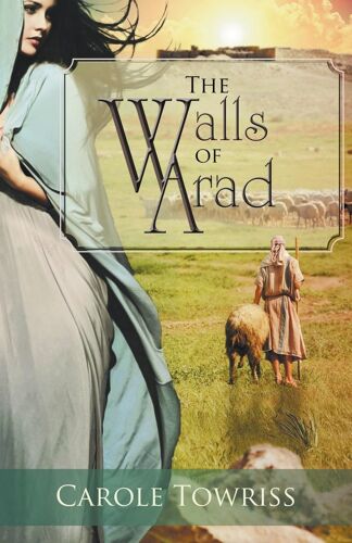 The Walls Of Arad