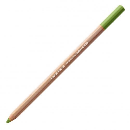 Crayon Pastel Olive Clair 20% Caran D'ache