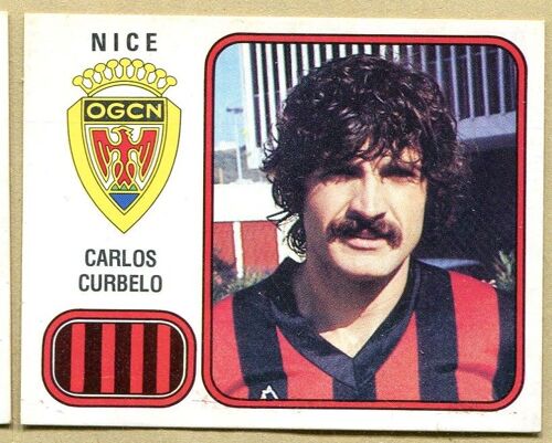 Image Panini 82