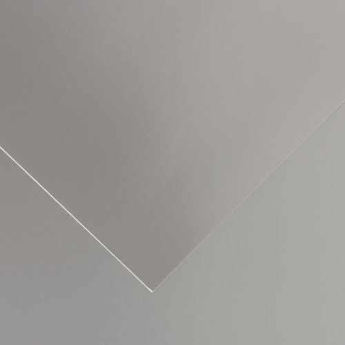 Feuille Vivaldi 50x65 Cm - Argent - Canson