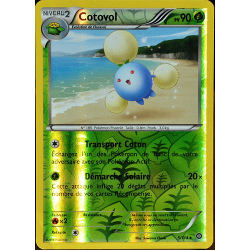 Carte Pokémon 5/114 Cotovol 90 Pv - Reverse Xy - Offensive Vapeur Neuf Fr