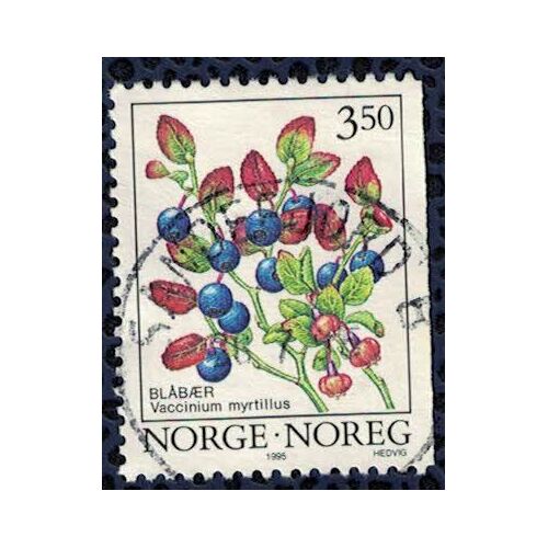 Norvège 1995 Oblitéré Rond Used Myrtille Ou Airelle Vaccinium Myrtillus Myrtillier Commun
