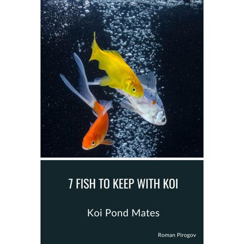 7 Fish To Keep With Koi: Koi Pond Mates