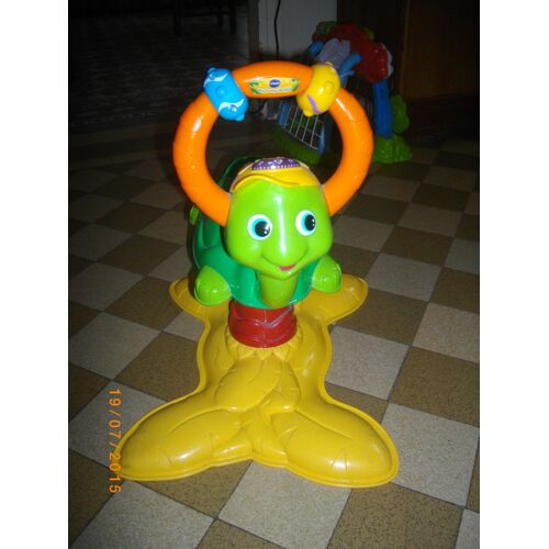Tortue Rodéo