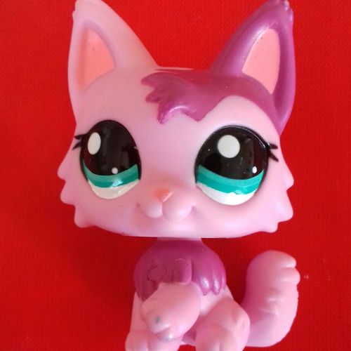 Petshop : Chat 2465