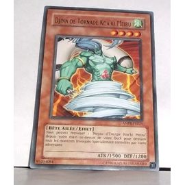 Djinn De Tornade Koa'ki Meiru -Anpr-Fr021