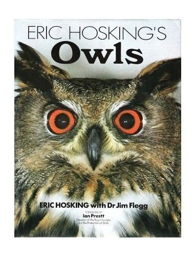 Eric Hosking's Owls