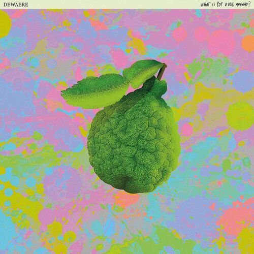 Dewaere - What Is Pop Music Anyway ?