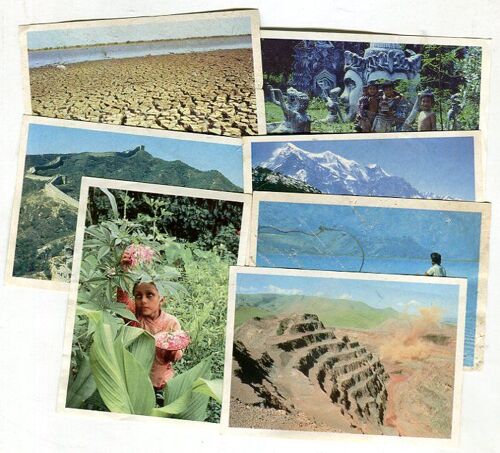Lot De 7 Images Poulain Mini Reporters - Ma Planète Est Unique